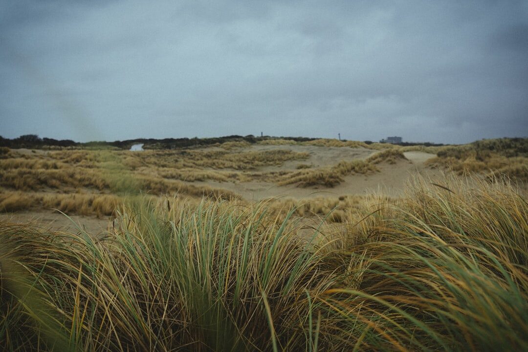 Moody coastal Danish landscape with dramatic light